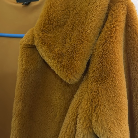 Express Jacket - Picture 3 of 3